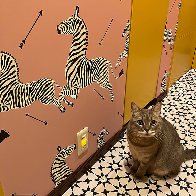 HACHIJIRUSHIさんの部屋