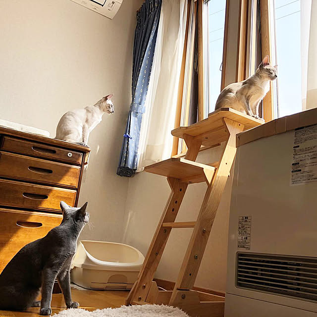 mujinekoさんの実例写真