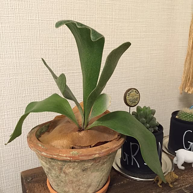 k-grainさんの実例写真