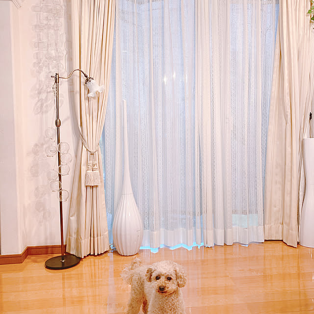 Momoさんの部屋