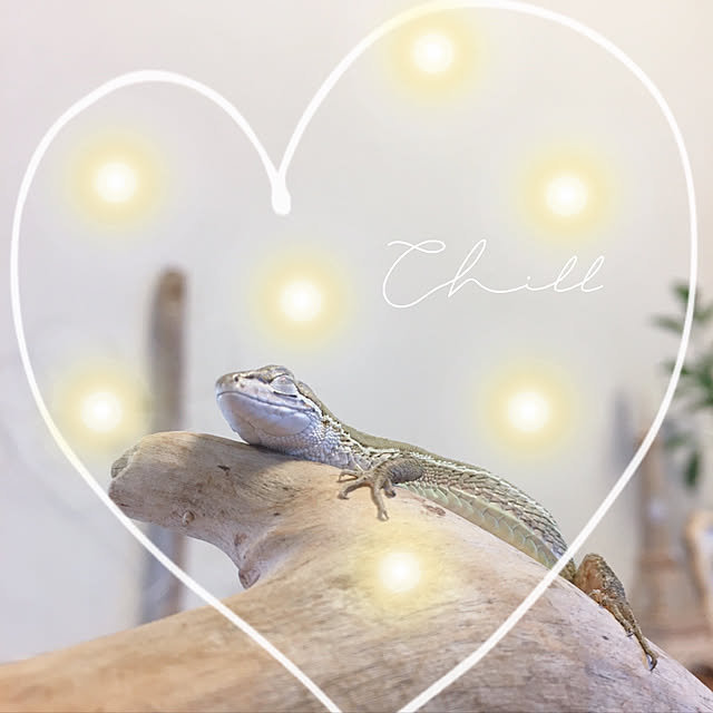 oasisさんの実例写真