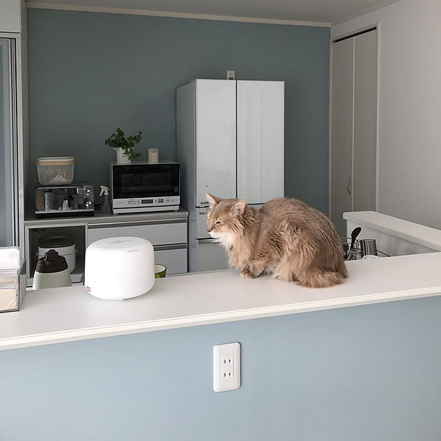 mofucatさんの実例写真