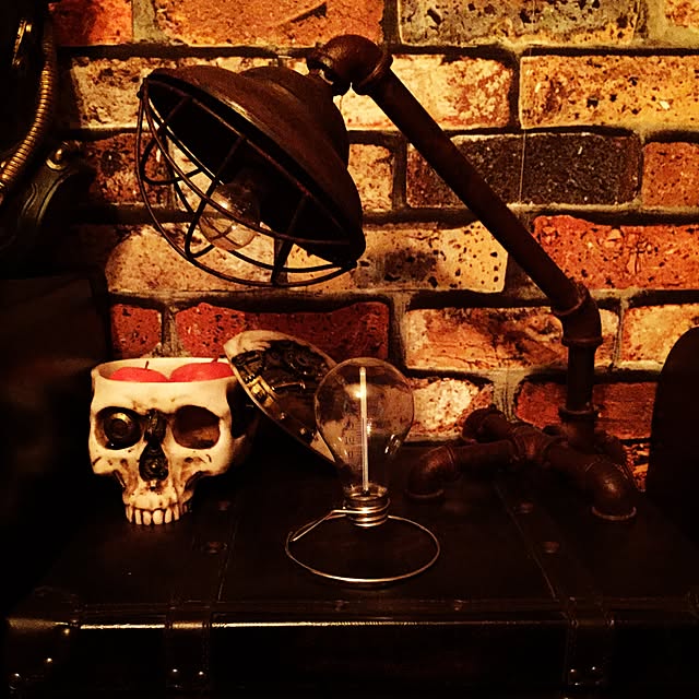 steampunkerさんの実例写真