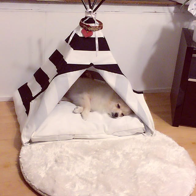 chi-さんの実例写真