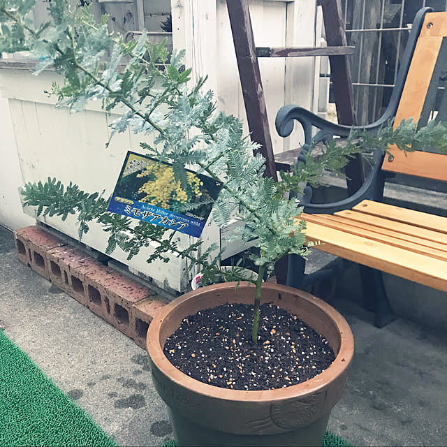 Satokoさんの実例写真