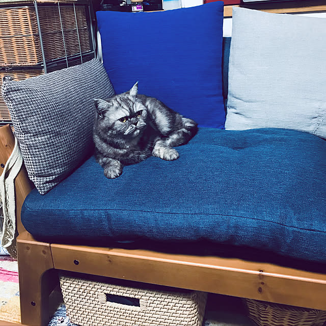 Marinさんの実例写真