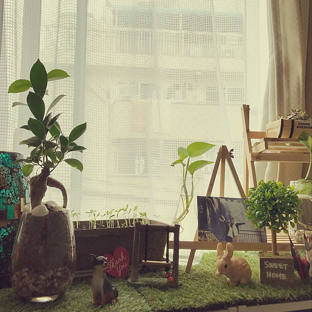 部屋全体のインテリア実例 - 2018-05-28 13:59:32