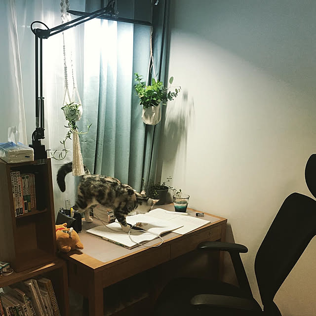 mikkumikuさんの実例写真
