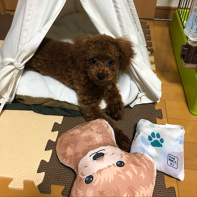 Ruyoさんの実例写真
