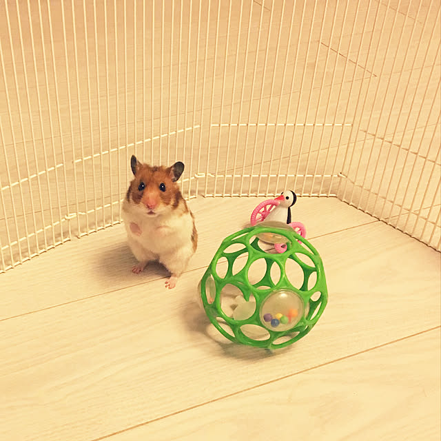 ohanaさんの実例写真