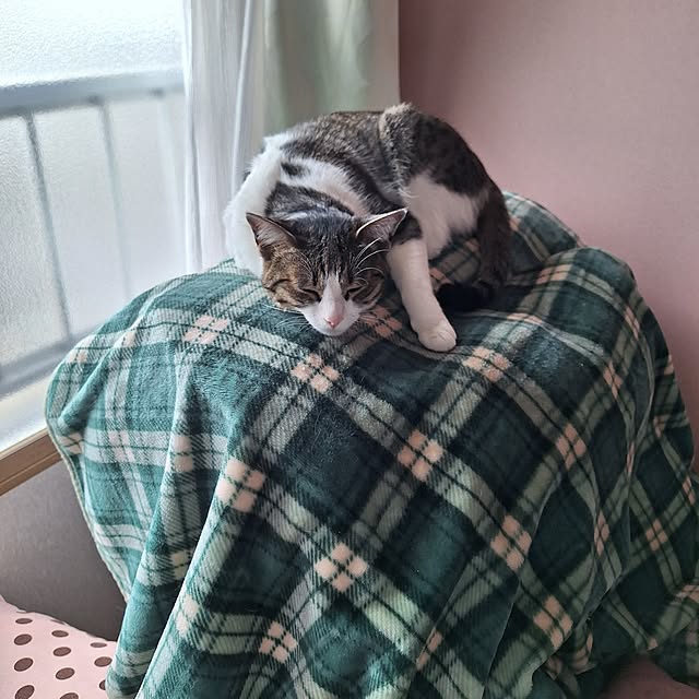 akimameさんの部屋