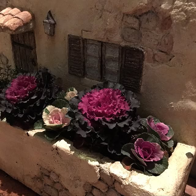 misacoさんの実例写真