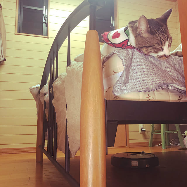 jijiさんの実例写真