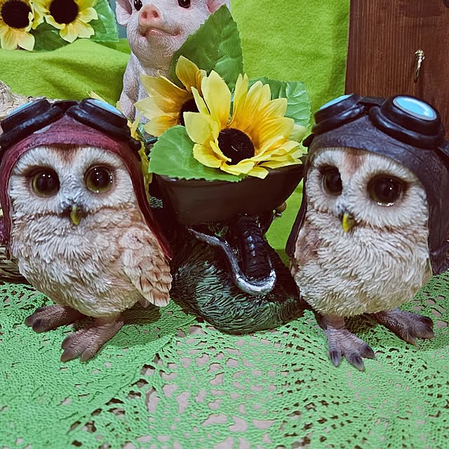 mocomocoさんの部屋