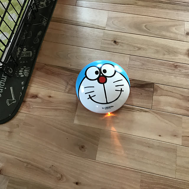 okadajapanさんの実例写真