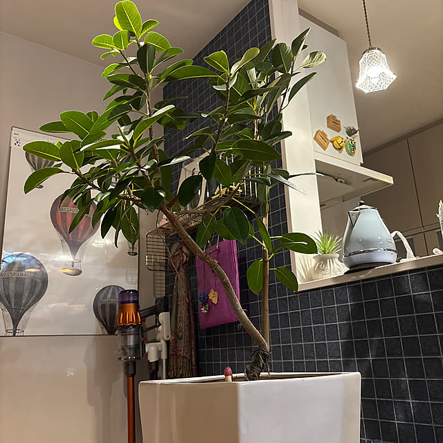 koskeさんの実例写真