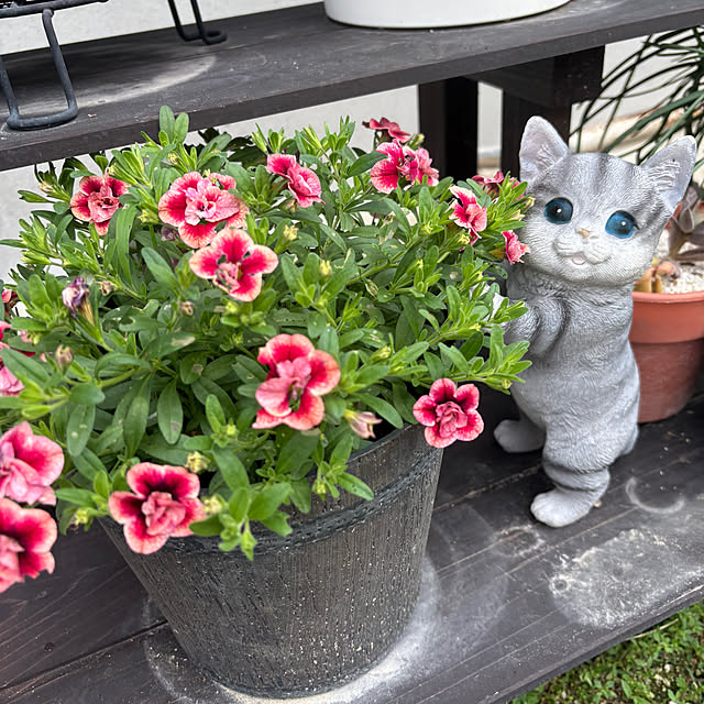 tasoさんの実例写真