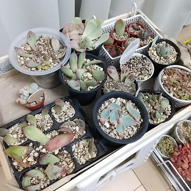meiさんの部屋