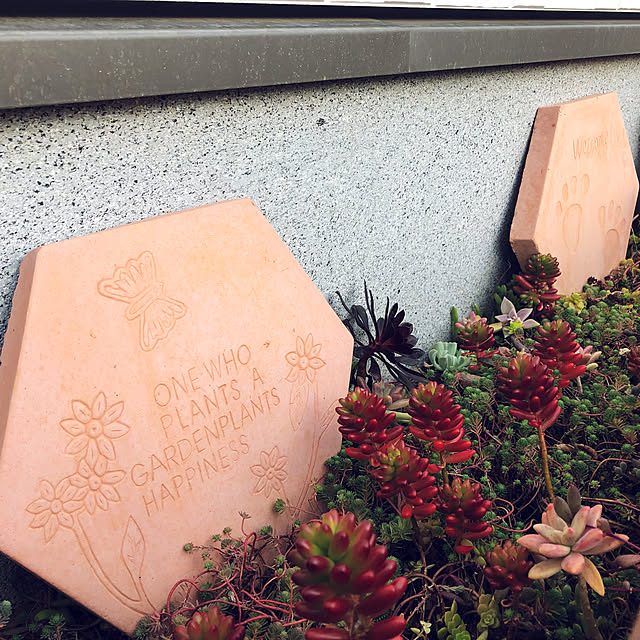 canmilmamaさんの実例写真