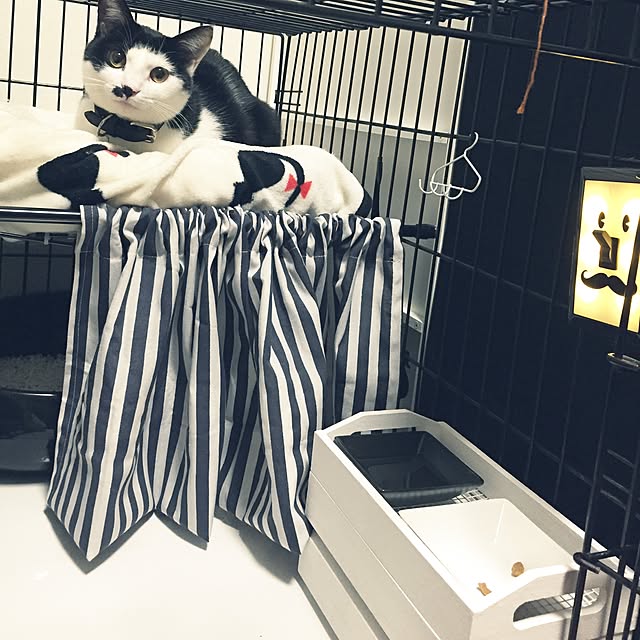mikaさんの実例写真