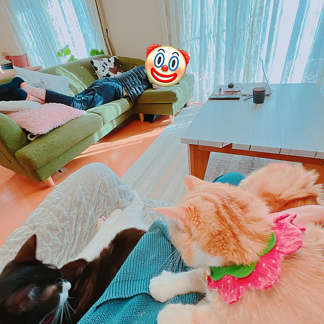 moolさんの部屋