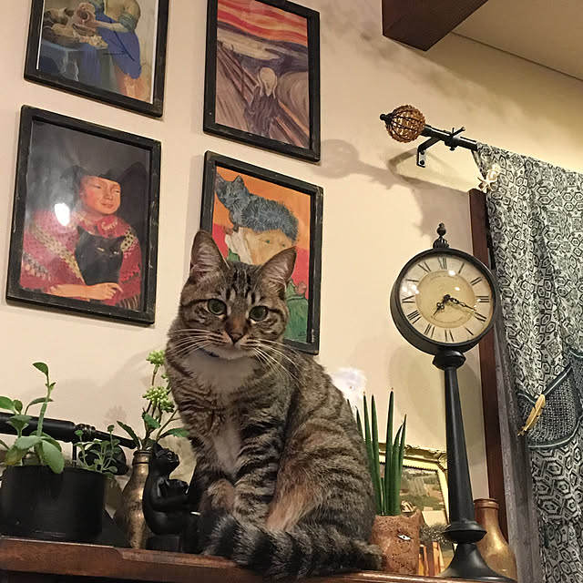 shigimiさんの実例写真