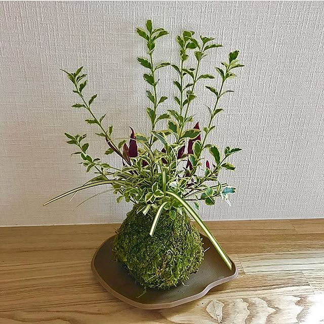 copanさんの実例写真