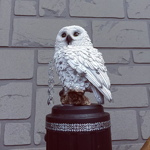 xoxoさんの実例写真