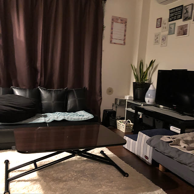 sacchiさんの実例写真