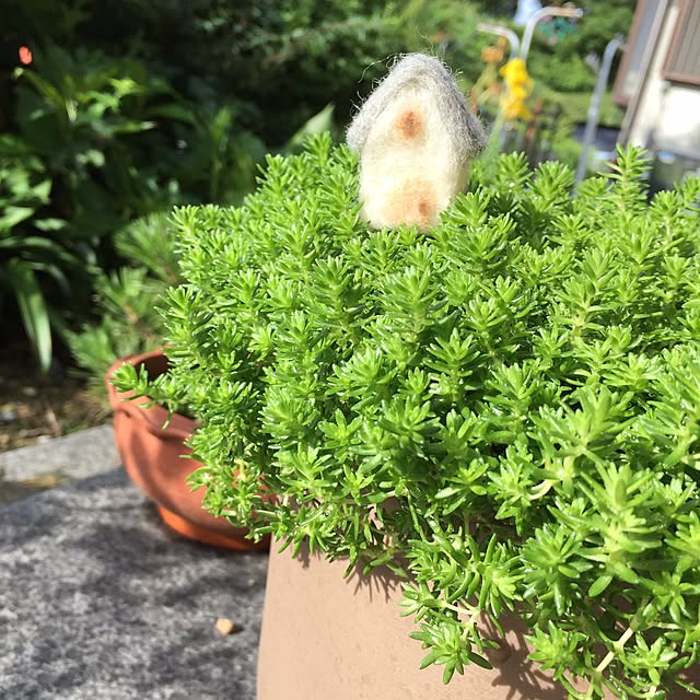 hiroさんの実例写真