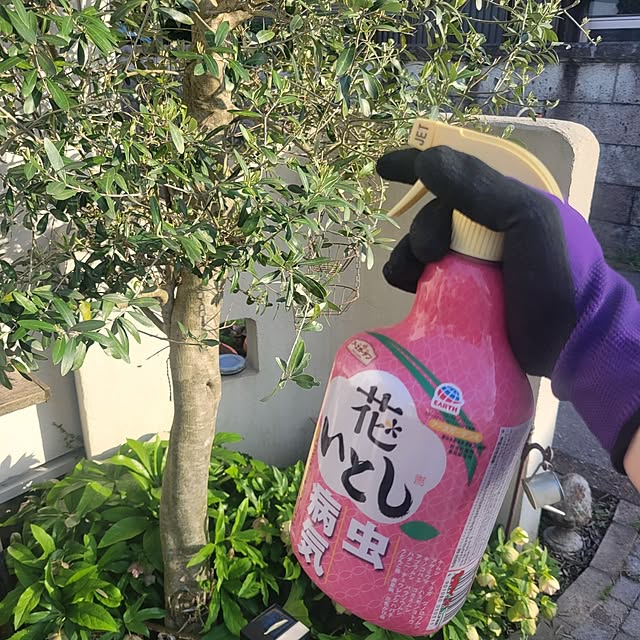 reireiさんの部屋