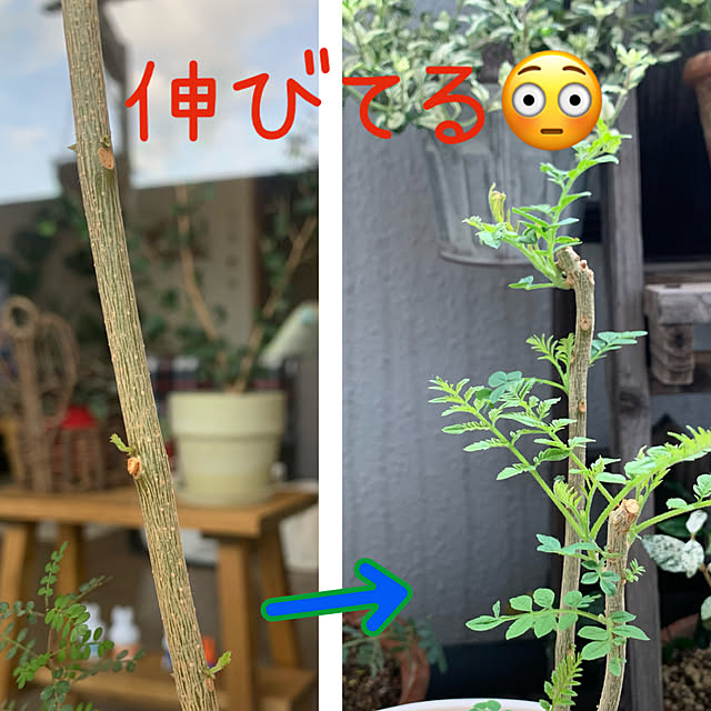 JUNさんの部屋
