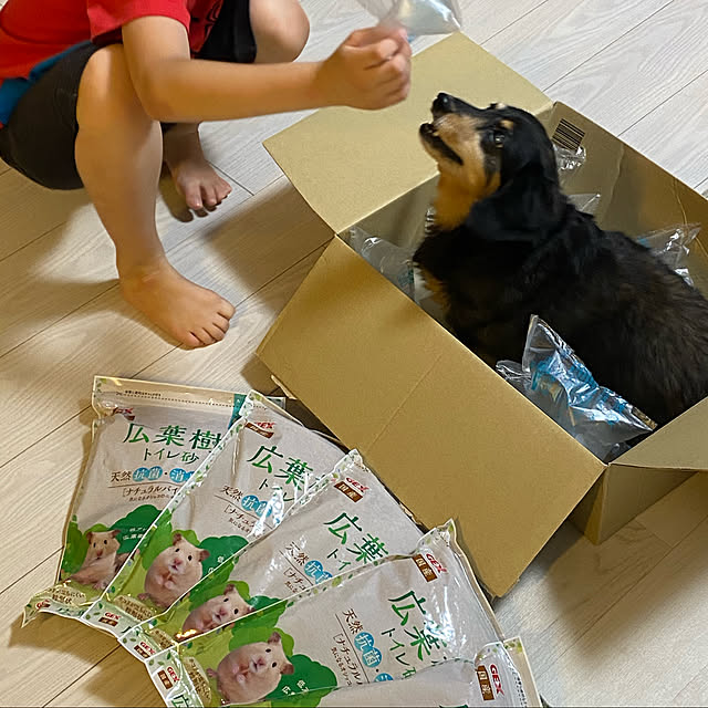 ohanaさんの実例写真