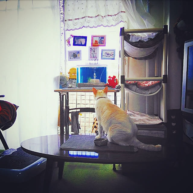 mntcさんの実例写真