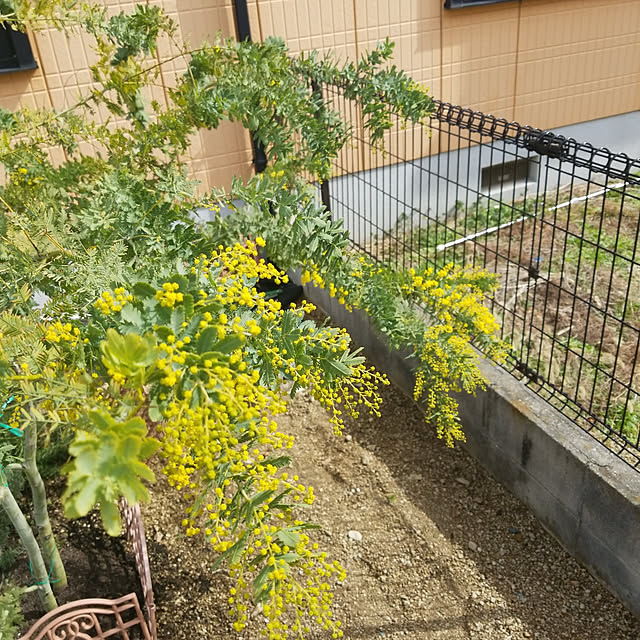 kanako97さんの実例写真
