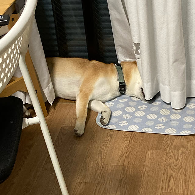luckyさんの実例写真