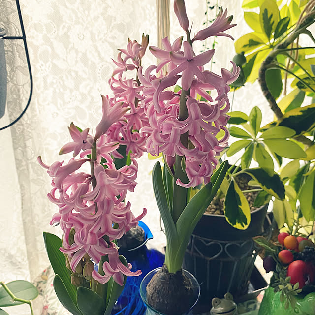 ChiCoさんの部屋