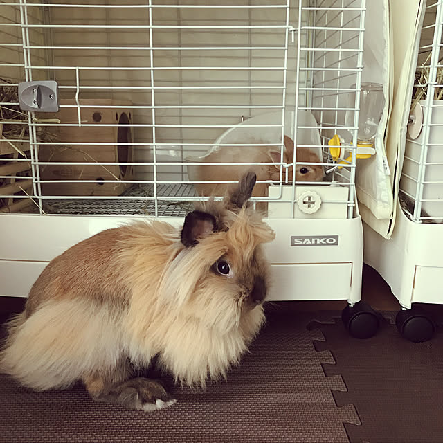 mさんの実例写真