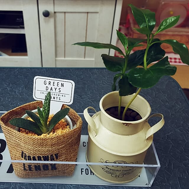 hiさんの実例写真