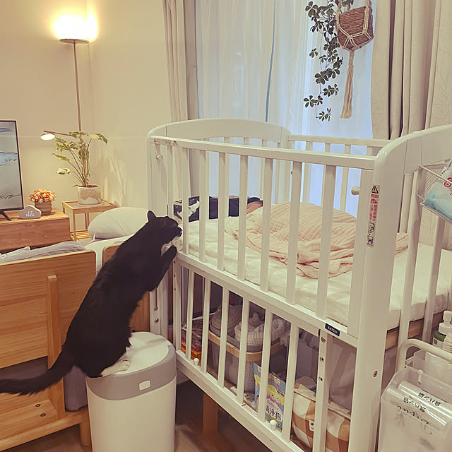 hirokoさんの実例写真