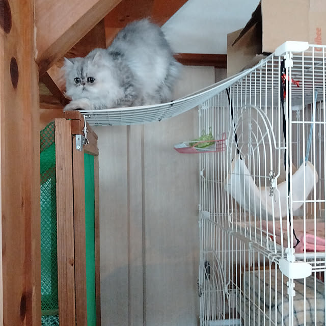 makaronさんの実例写真
