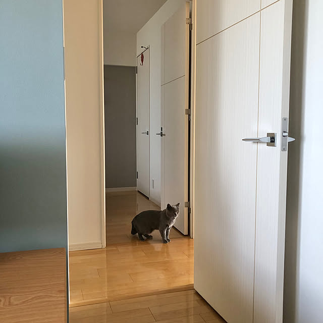 GUMIMINさんの実例写真