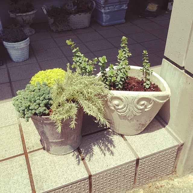 yuraaiさんの実例写真
