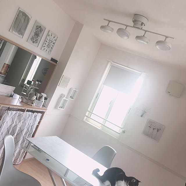 _kzkc221さんの実例写真