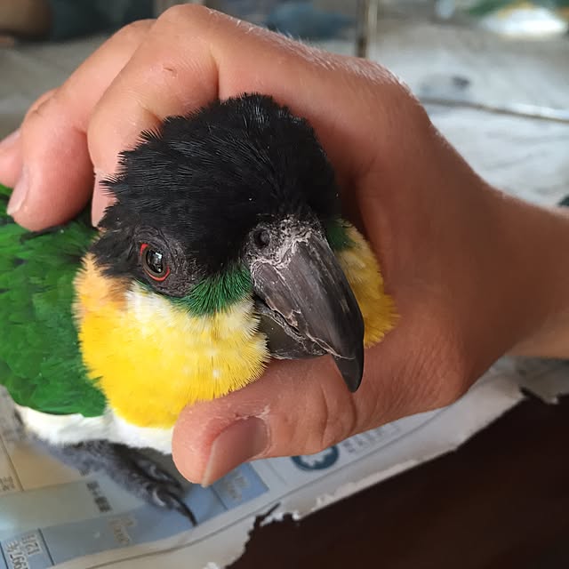 sutyan88さんの実例写真