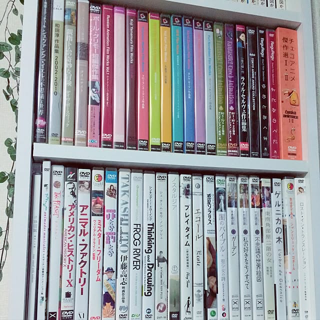 usausaさんの実例写真
