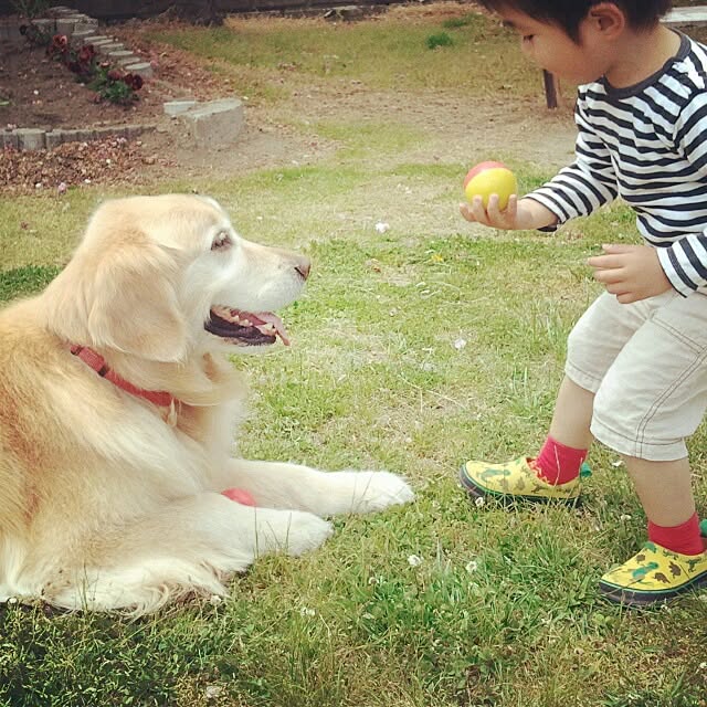 okameさんの実例写真