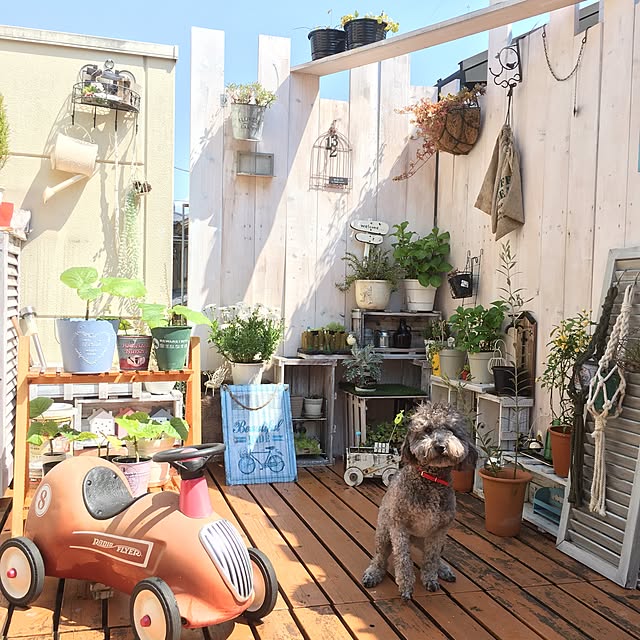makoriさんの実例写真