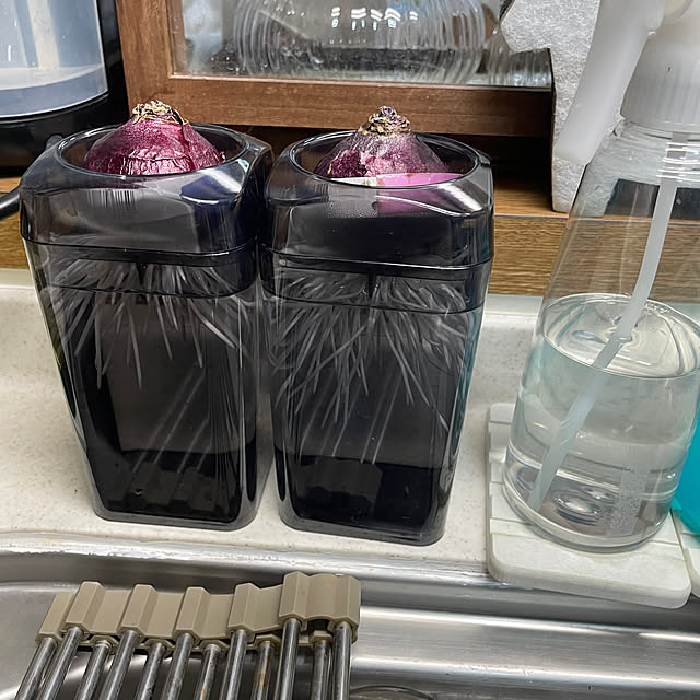 honpoさんの部屋