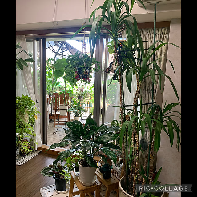 Aqettyさんの部屋